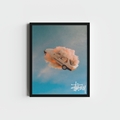 Stussy Exploding Car Print - Bedroom Poster